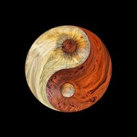 YingYang2 